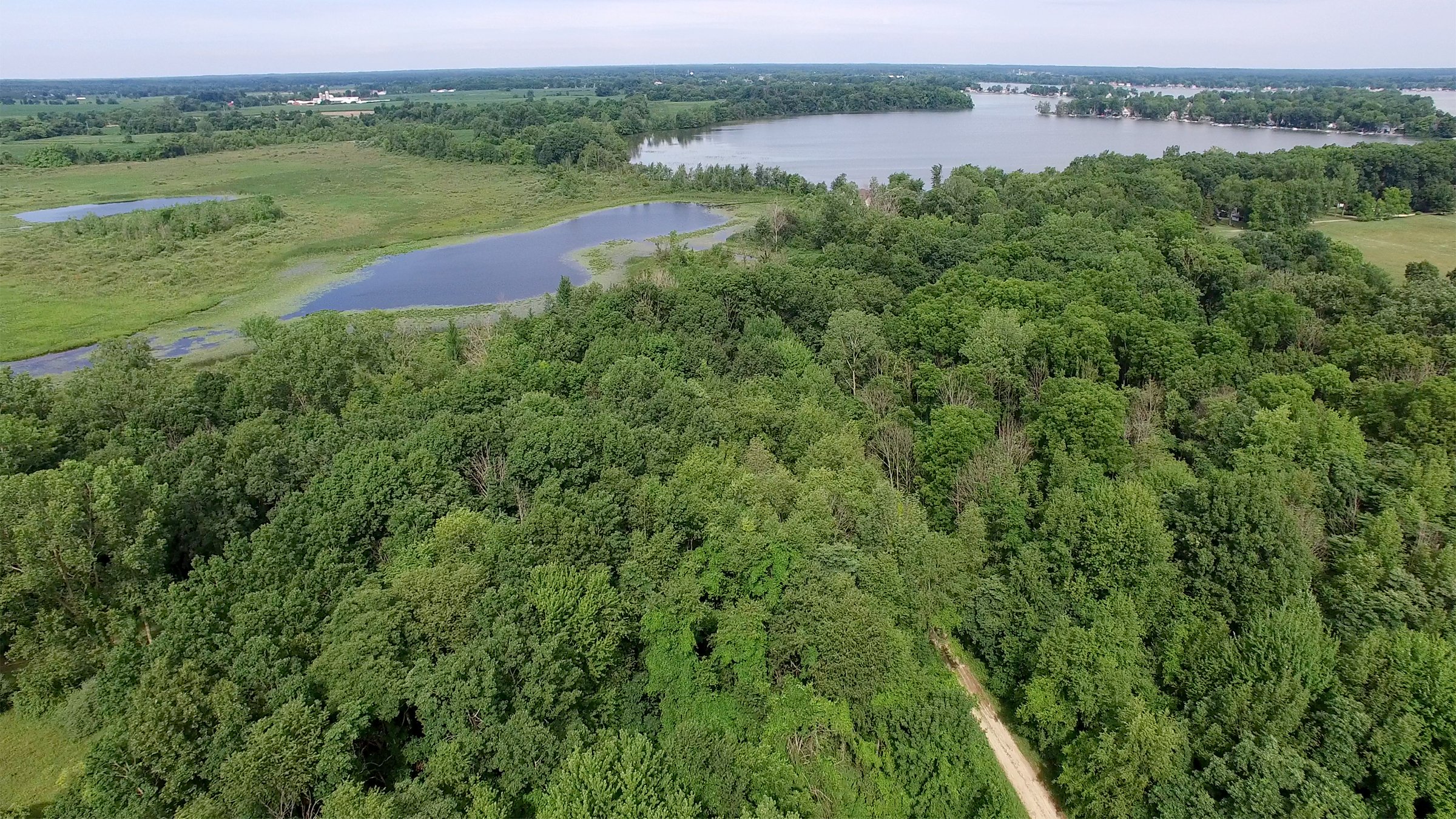 Property photo 13 - ONCE IN A LIFETIME OPPORTUNITY AUCTION - 183+/- ACRES IN 27 TRACTS IN BRANCH COUNTY, MICHIGAN